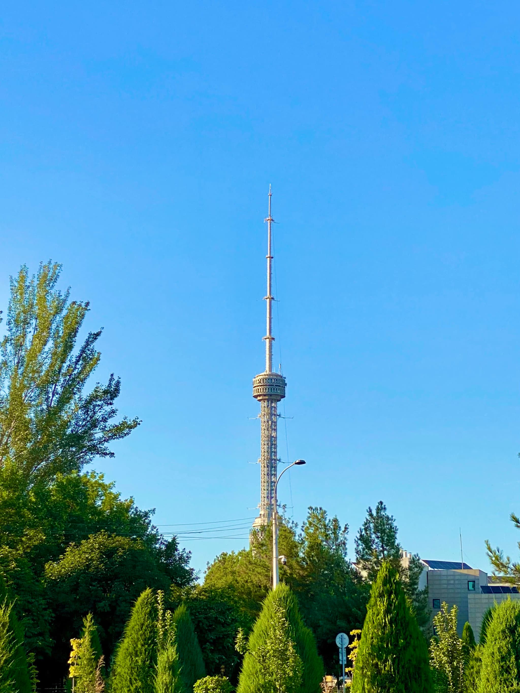 A lush green park scene under bright blue skies, featuring a modern TV tower standing tall amidst vibrant foliage, evoking a calm, sunny atmosphere