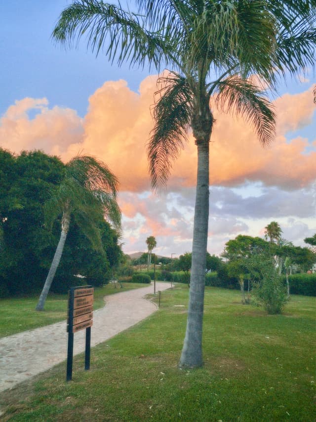 A serene tropical sunset scene with palm trees, lush greenery, and a wooden signboard, bathed in warm, soft lighting