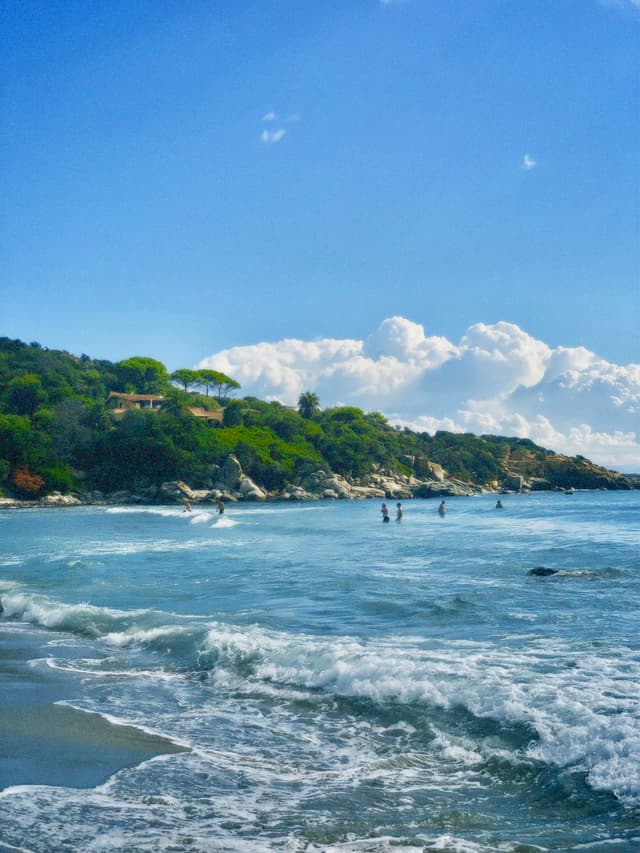 A serene beach scene with gentle waves, lush greenery, and a clear blue sky with fluffy clouds, perfect for relaxation and nature lovers