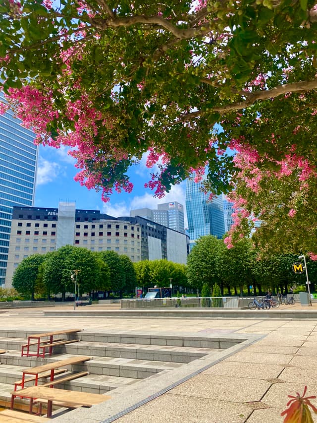 A serene city park scene with vibrant pink flowers, tall buildings, and a clear blue sky, creating a peaceful urban atmosphere