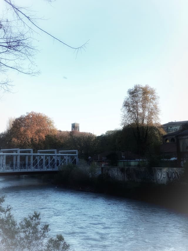 A serene riverside scene with a white bridge and towering trees, bathed in soft sunlight under a clear blue sky