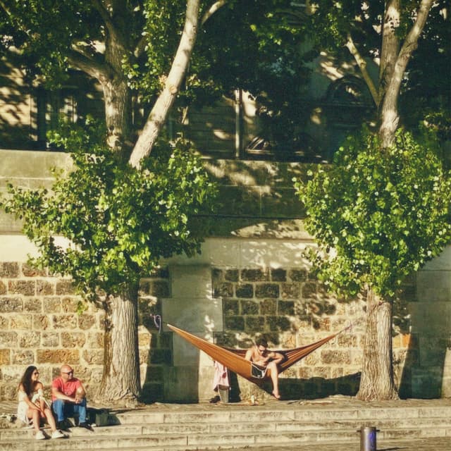 A serene afternoon in a park, hammock hangs between trees, casting warm sunlight, couple relaxes, evoking tranquility and relaxation
